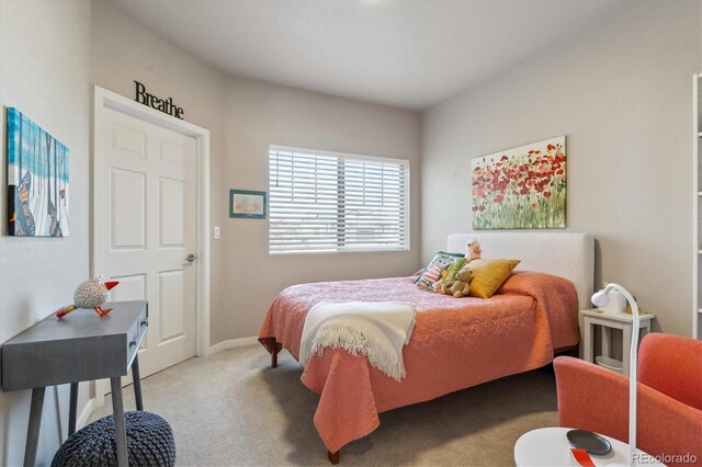 12820 Inca St, Westminster, CO 80234 - photo 15
