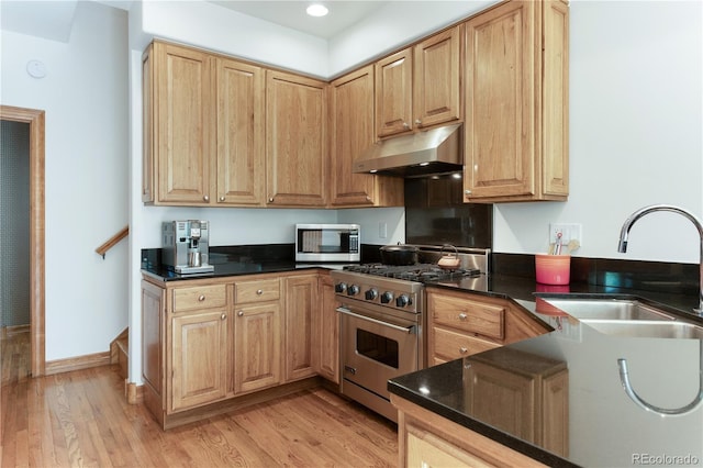 kitchen featuring light wood-type flooring, stainless steel appliances, and sink