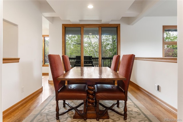 dining area featuring a wealth of natural light and light hardwood / wood-style flooring