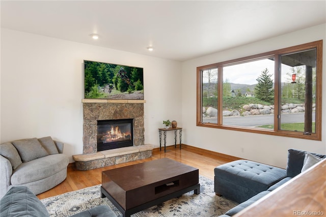 living room with a fireplace and hardwood / wood-style floors