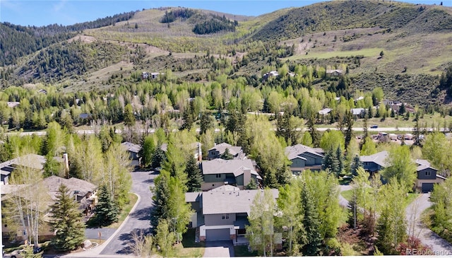 13 Millers Circle Rd, Edwards, CO 81632 - photo 32