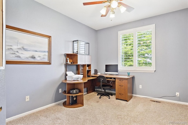 4099 Starflower Rd, Castle Rock, CO 80109 - photo 13