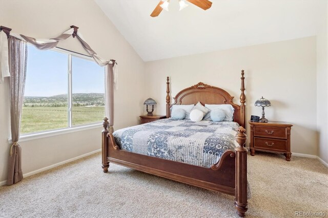4099 Starflower Rd, Castle Rock, CO 80109 - photo 14