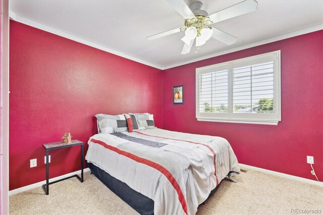 4099 Starflower Rd, Castle Rock, CO 80109 - photo 17