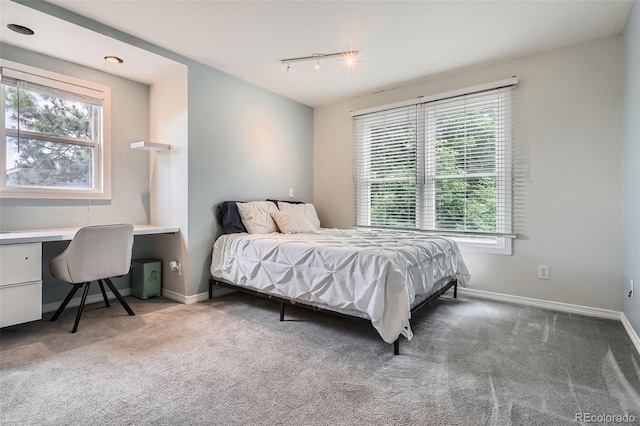 9962 Stratford Ln, Highlands Ranch, CO 80126 - bedroom with rail lighting, carpet flooring, and a desk