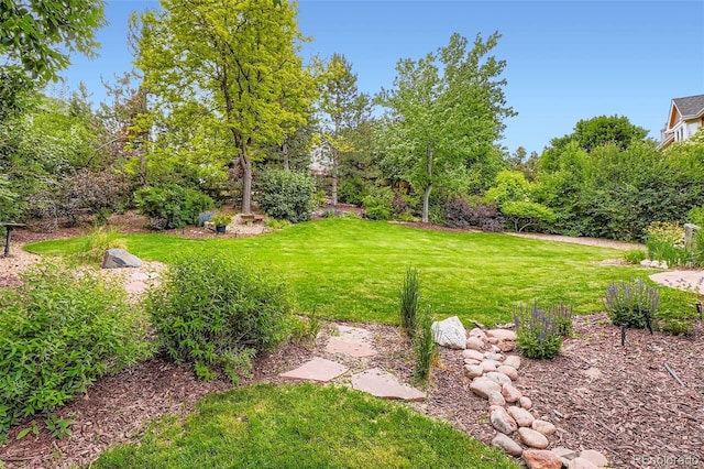 9962 Stratford Ln, Highlands Ranch, CO 80126 - view of green lawn