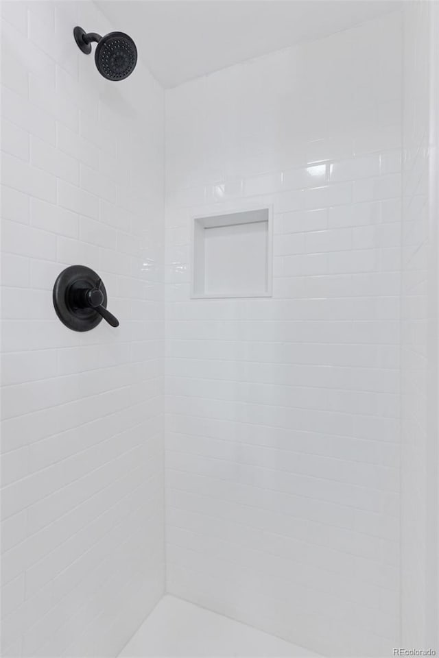 8484 E Radcliff Ave, Denver, CO 80237 - bathroom view of tiled shower