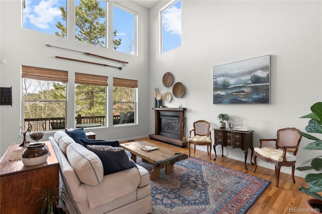 living area with a glass covered fireplace, wood finished floors, and a high ceiling