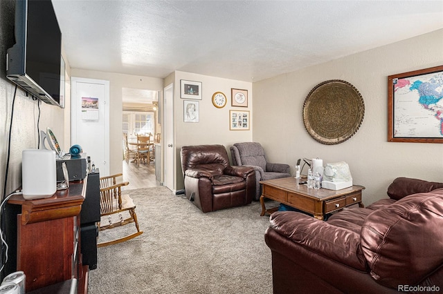 living area with a textured ceiling and carpet