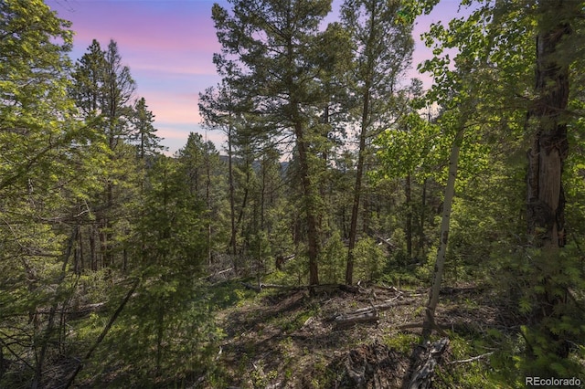 00 Ponderosa Dr, Conifer, CO 80433