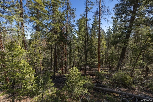 00 Ponderosa Dr, Conifer, CO 80433
