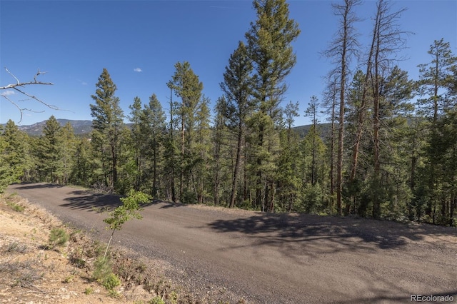 00 Ponderosa Dr, Conifer, CO 80433