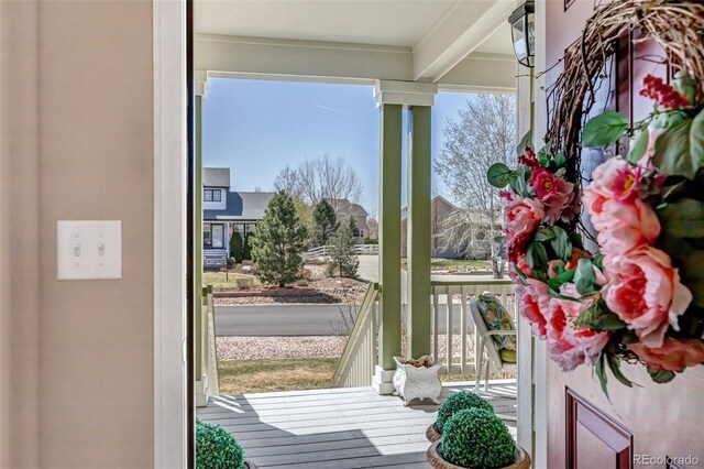 3545 Cottonwood Cir, Longmont, CO 80504 - photo 41