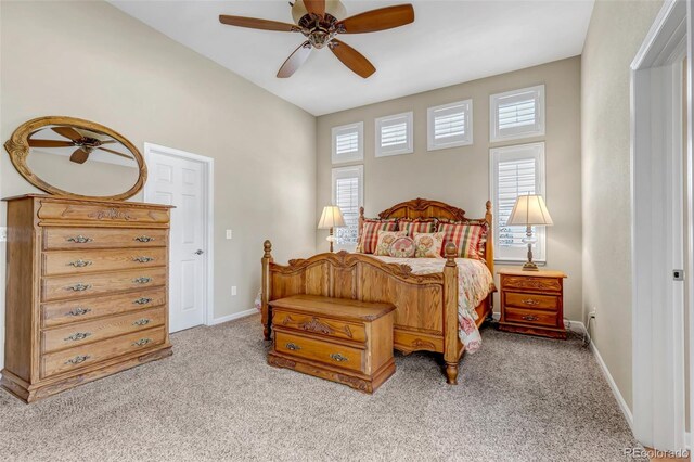 3545 Cottonwood Cir, Longmont, CO 80504 - photo 24