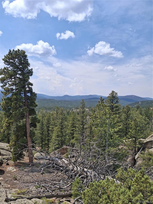 865 Okmulgee Cir, Red Feather Lakes, CO 80545 - photo 2