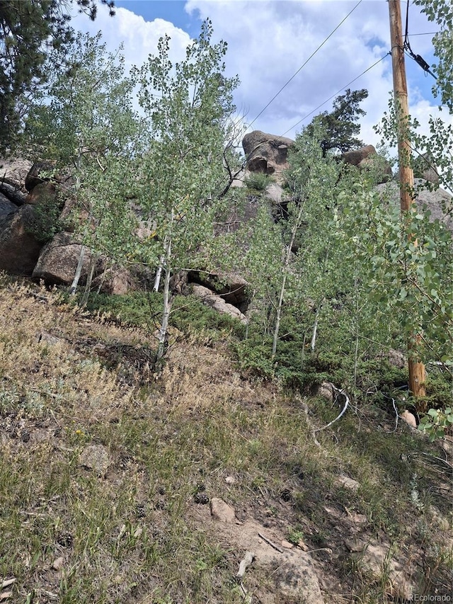 865 Okmulgee Cir, Red Feather Lakes, CO 80545 - photo 4