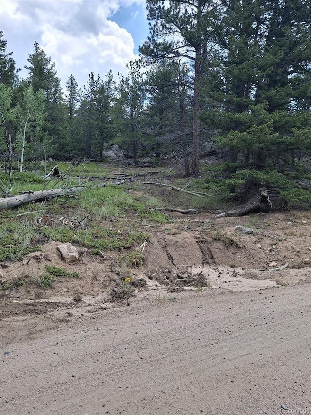 865 Okmulgee Cir, Red Feather Lakes, CO 80545 - photo 7