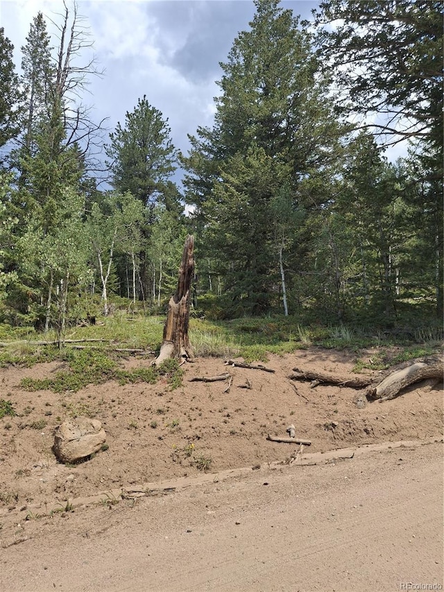 865 Okmulgee Cir, Red Feather Lakes, CO 80545 - photo 8