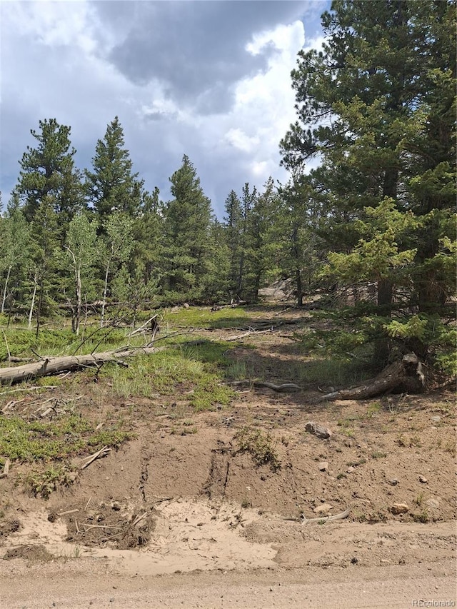 865 Okmulgee Cir, Red Feather Lakes, CO 80545 - photo 9
