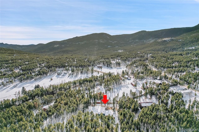 birds eye view of property featuring a mountain view