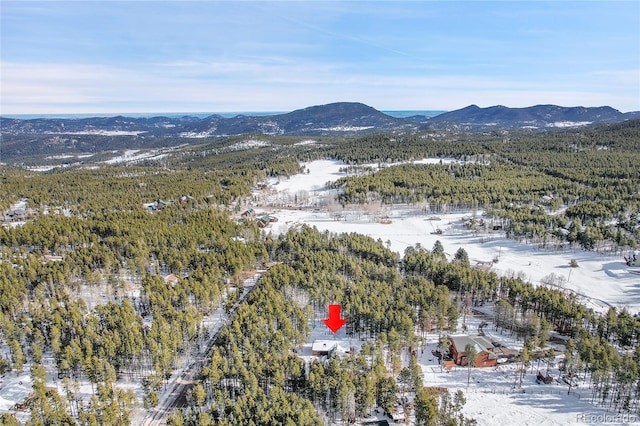 snowy aerial view featuring a mountain view