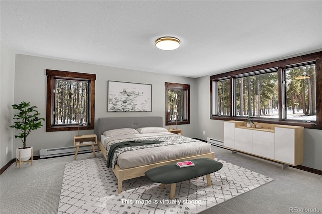 9123 Booker Ln, Conifer, CO 80433 - bedroom with carpet flooring, baseboards, and a baseboard heating unit