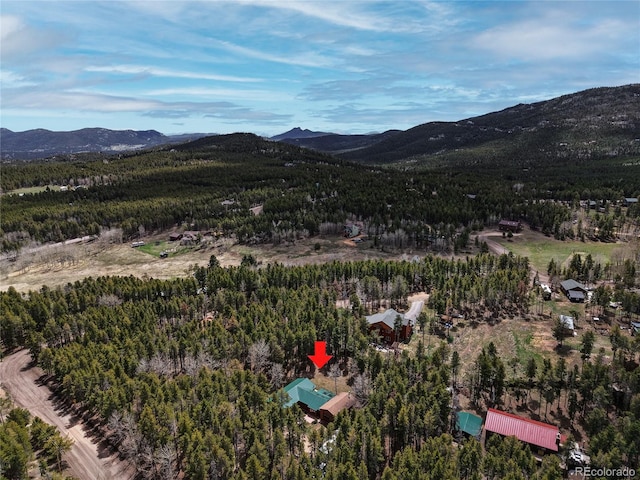 9123 Booker Ln, Conifer, CO 80433 - property view of mountains with a view of trees
