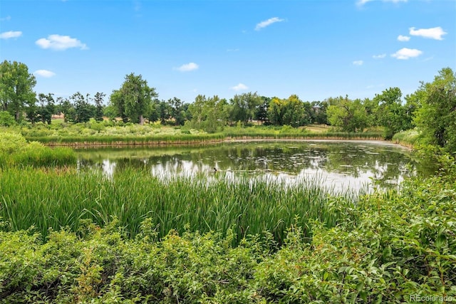 4607 W 105th Way, Westminster, CO 80031 - photo 50