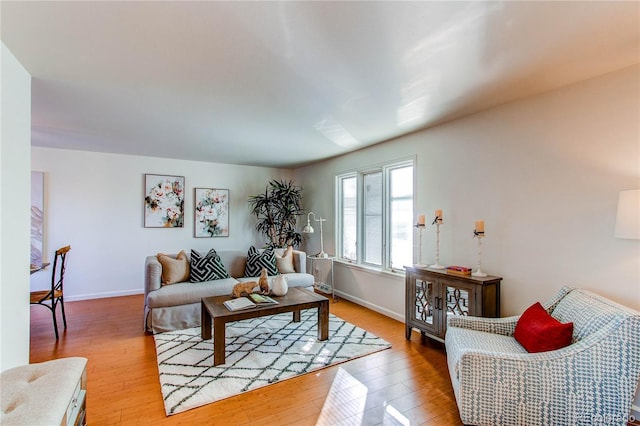 living room featuring light hardwood / wood-style floors