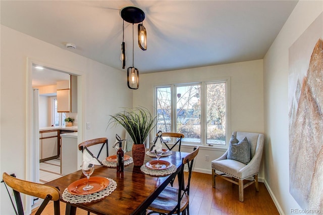 dining room with hardwood / wood-style flooring