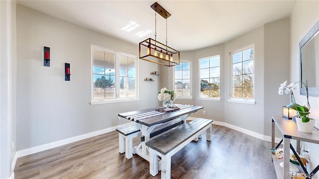 dining space with baseboards, wood finished floors, and a healthy amount of sunlight