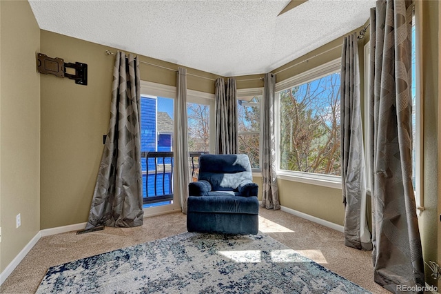 living area featuring baseboards, carpet floors, and a textured ceiling