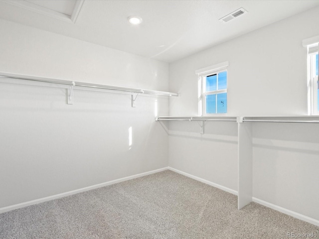 spacious closet featuring visible vents and carpet flooring