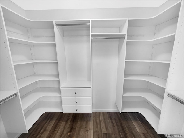 spacious closet with wood finished floors