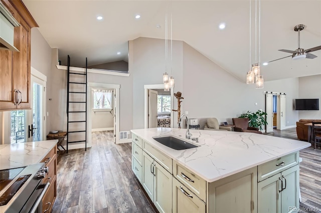 kitchen with dark wood-type flooring, stainless steel range, a sink, open floor plan, and lofted ceiling