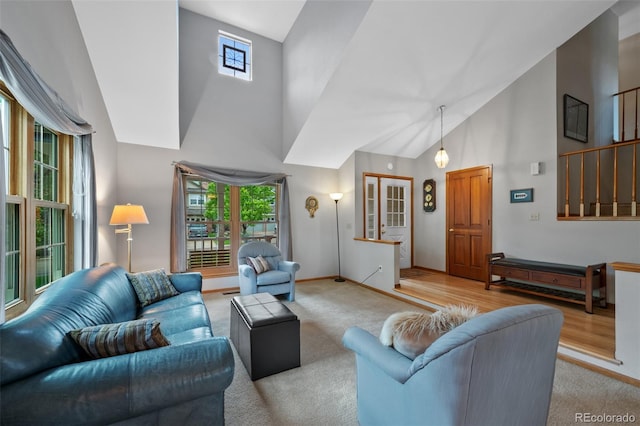 18 Blue Sage, Littleton, CO 80127 - living area with high vaulted ceiling and carpet floors