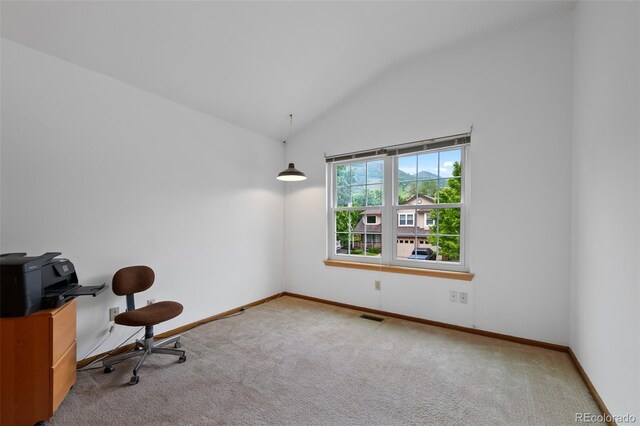 18 Blue Sage, Littleton, CO 80127 - office with carpet flooring and vaulted ceiling