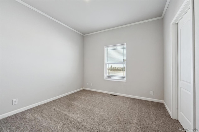 spare room featuring carpet floors and crown molding