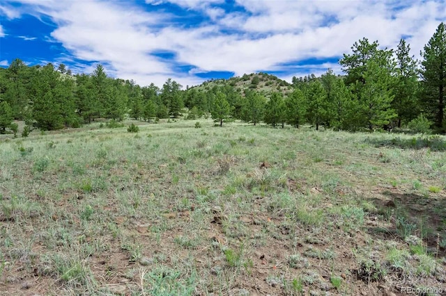TRACT8 County Road 102, Guffey, CO 80820 - photo 1