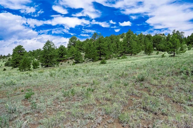 TRACT8 County Road 102, Guffey, CO 80820 - photo 2