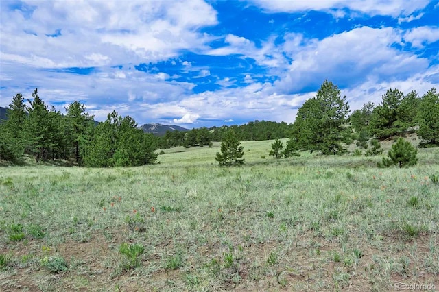 TRACT8 County Road 102, Guffey, CO 80820 - photo 3