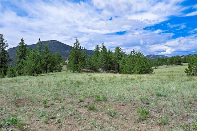 TRACT8 County Road 102, Guffey, CO 80820 - photo 4