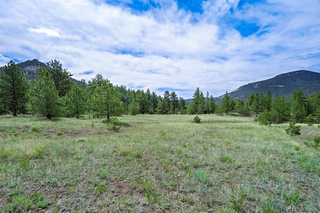 TRACT8 County Road 102, Guffey, CO 80820 - photo 5