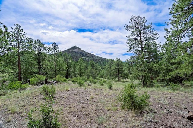 TRACT8 County Road 102, Guffey, CO 80820 - photo 6