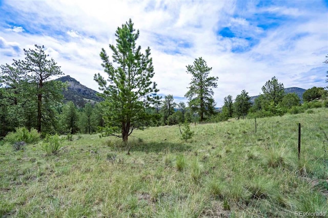TRACT8 County Road 102, Guffey, CO 80820 - photo 7