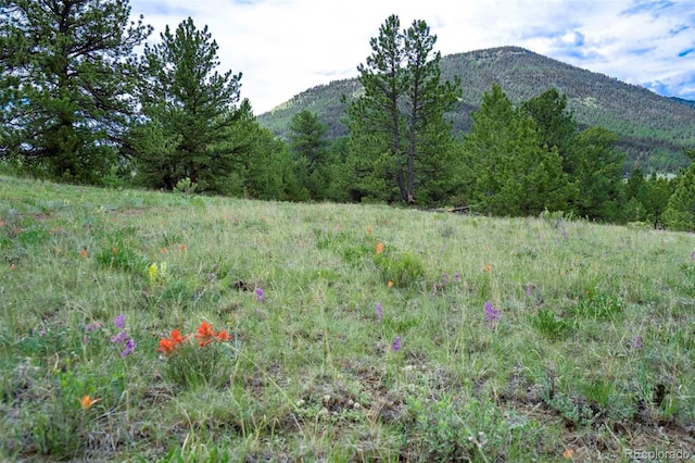TRACT8 County Road 102, Guffey, CO 80820 - photo 8