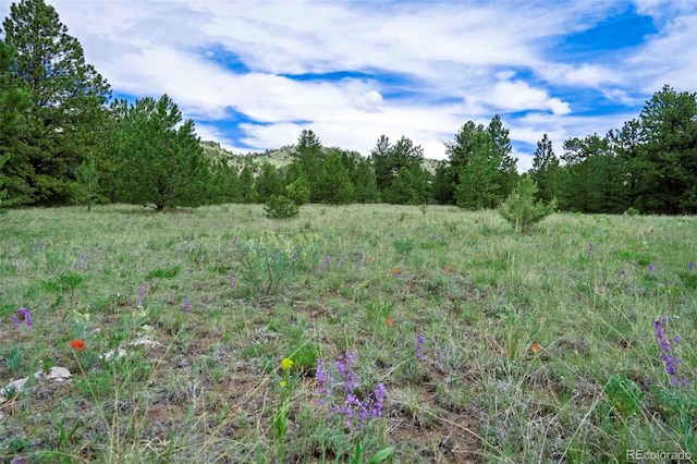 TRACT8 County Road 102, Guffey, CO 80820 - photo 9