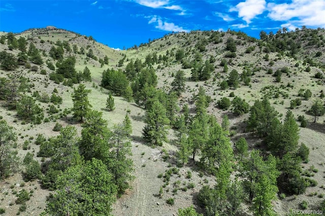 TRACT8 County Road 102, Guffey, CO 80820 - photo 10