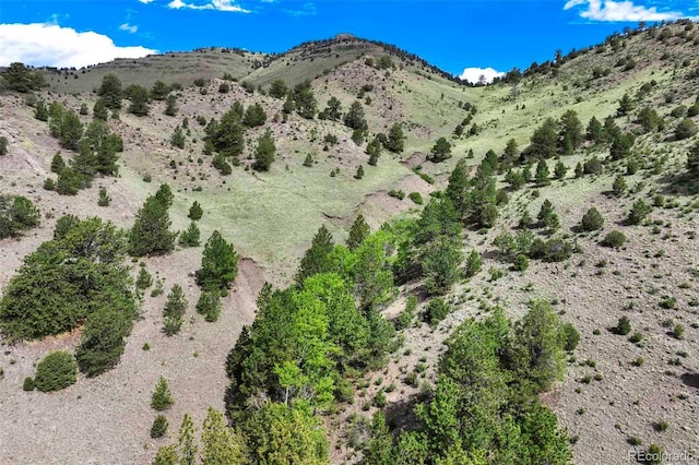 TRACT8 County Road 102, Guffey, CO 80820 - photo 11