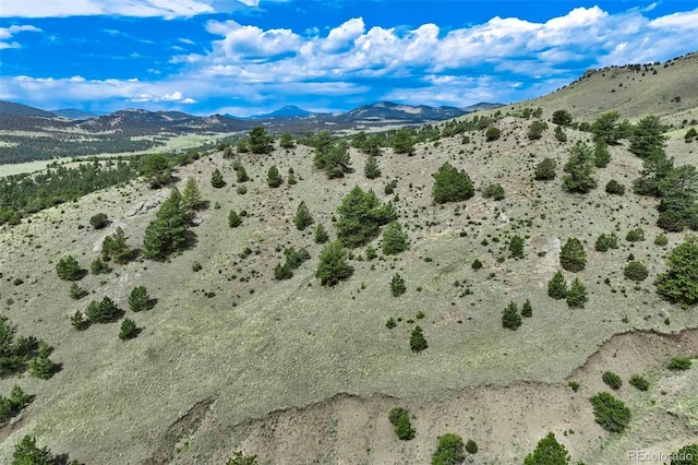 TRACT8 County Road 102, Guffey, CO 80820 - photo 12